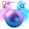 Gender swap orb