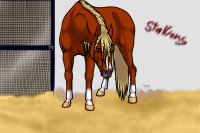 Stallion #5 - Nikko (CHS Update) - CHS