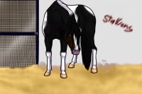 Stallion #6 - A Menacing Shadow (CHS Update) - CHS