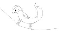 Shima Longtail Sketch