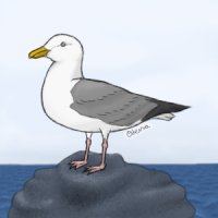 Seagull-logic version #2