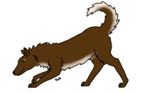 Editable dog/wolf