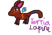 Terria Lapine - new species?