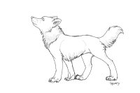 Somewhat quick wolf sketch