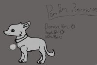 Pom Pom Puppies Adopts!(looking for staff)