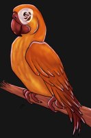 parrot character wip?