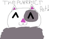 The PURRRFECT Pet!