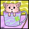 Teacup Kitten