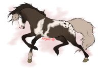 Equine OC "Jinoah" Equine OC "Jinoah"