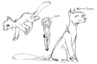 DOODLES!!! DOODLES!!!