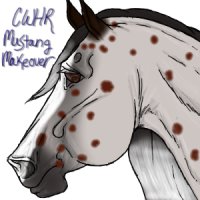 Mustang Makeover Avatar