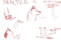 practice sketches
