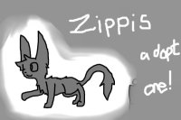 Zippis- Adopt one today!