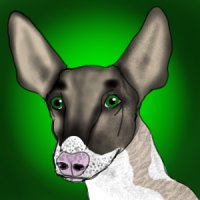 Hiku-Iti Deerhound Avatar