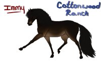Immy: exmoor pony
