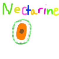 nectarine easter