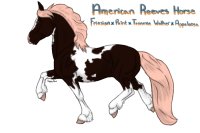 American Reeves Horse