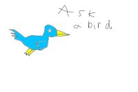 Ask a bird