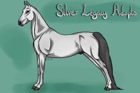 Silver Legacy Horse Association