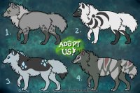 Wolves to Adopt-/Closed/