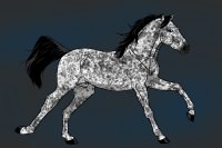 Sooty Appaloosa Stallion Custom