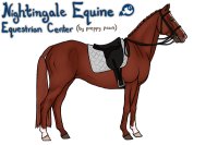 Nightingale Horse Equestrian Center (NEW OWNER)