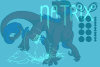 Natrix Dragons Entry