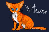 Whitepaw (Apprentice of AzureClan)