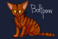 Boltpaw (Apprentice of AzureClan)