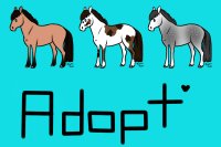 Please Adopt These Horsies