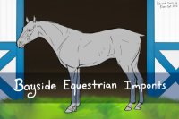 Bayside Equestrian Imports