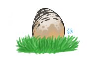 egg thing