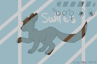 Swift Adopts - New and Open!