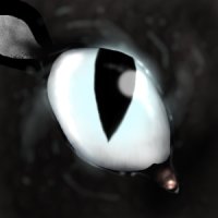 Moonwatcher's Eye