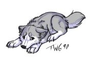 Sorrowful Husky/Wolf Pup