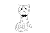 cat with a bowtie