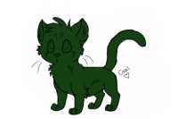 the i love green cat