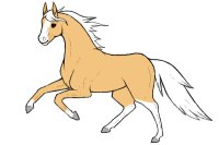 My horse charri