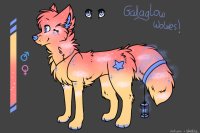 Galaglow Wolf #13