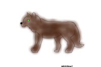 Wolf!