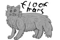 Floof Kats *open species*