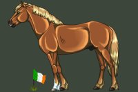 Ancient Irish War Ponies