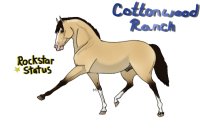 CWHR Mustang Makeover 2015 - Rockstar Status 'Rosco'