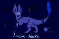 Avadae Adopts - Will Have New Lines Up Eventually