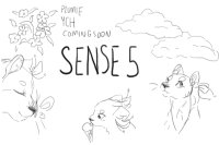 sense 5 - plumie ych coming soon