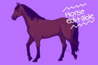 [ New Horse Editable ]
