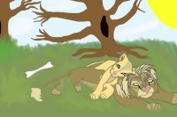 The Lion King Characters ( Oc )