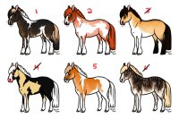 Horse Design Adopts