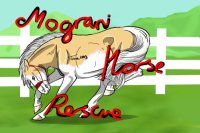 Mograni Horse Rescue-OPEN