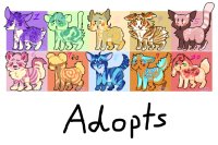 Adopts - Closed